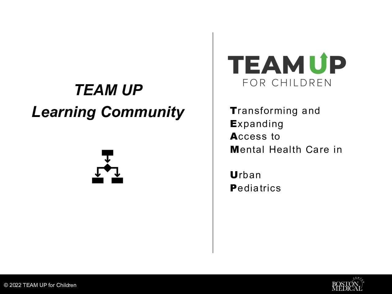 TEAM UP Overview Slides